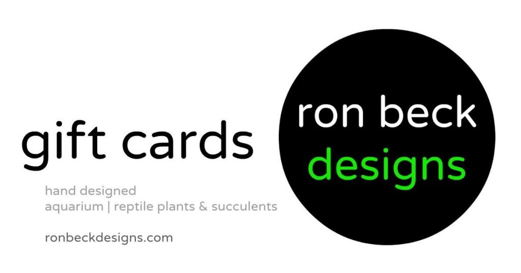 gift cards from ron beck designs 1200 630 gift cards from ron beck designs 1200 630