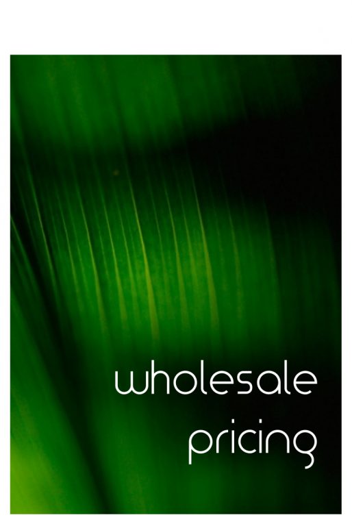 wholesale pricing - ron beck designs