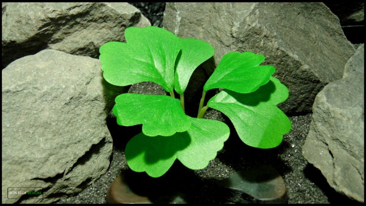 Artificial Ginkgo Biloba Plant Polysilk 601 TOP