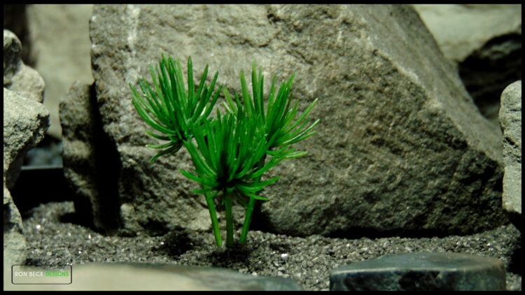 Artificial Mini Ming Pine Plant - Jumping Spider Reptile Decor 619 1