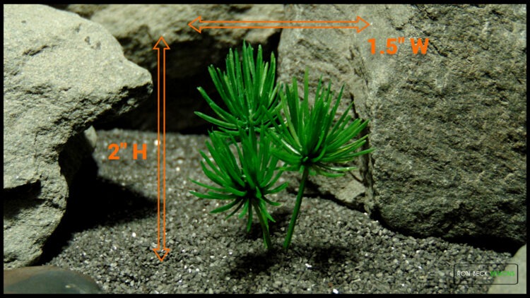 Artificial Mini Ming Pine Plant - Jumping Spider Reptile Decor 619 H
