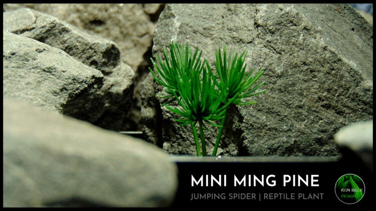 Artificial Mini Ming Pine Plant - Jumping Spider Reptile Decor 619 T