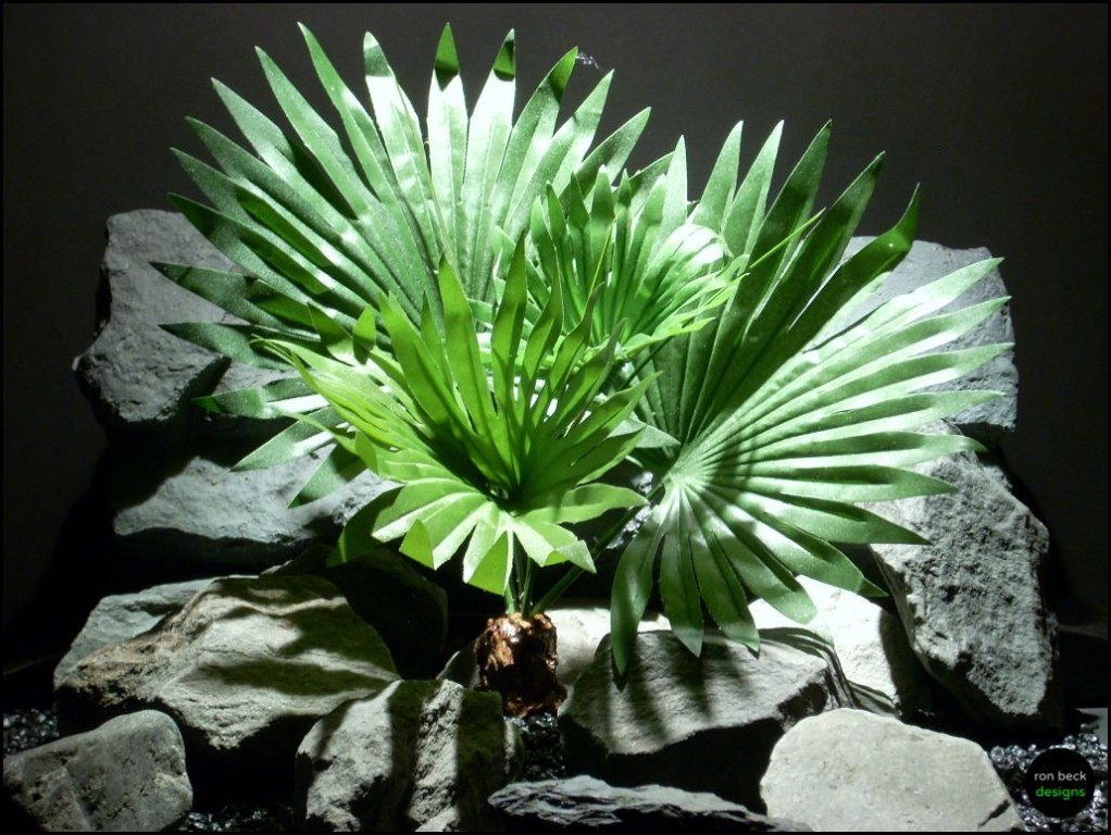 Silk Reptile Or Snake Habitat Plants Sansevieria