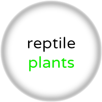 subscribe to reptile plants from ron beck designs