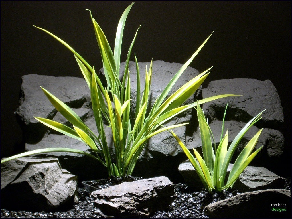 plastic aquarium plants arrowhead grass parp060 plstc. ron beck designs