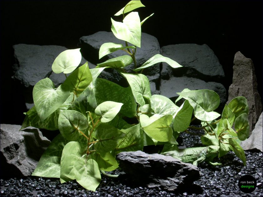 Design Silk Aquarium Plants Arrowhead Philodendron Variegated