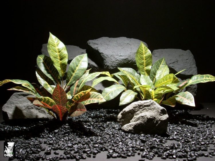 aquarium plants mini croton leaves set sap407 silk