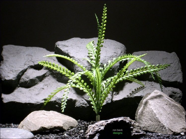 plastic aquarium plants mini round leaf bush parp038 plstc. ron beck designs