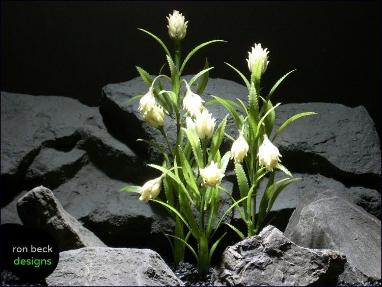 plastic aquarium plants protea white plot parp056 rpn beck designs
