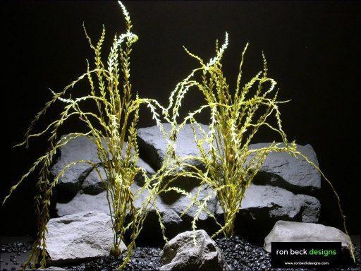 aquarium plants seaweed parp025 plastic ron beck designs
