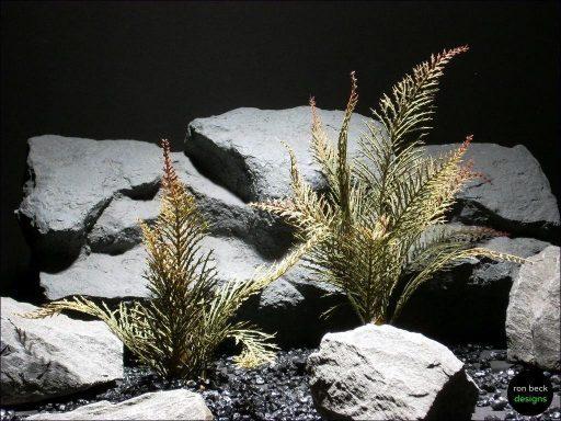 aquarium plants spiked fern parp029 plstc. ron beck designs