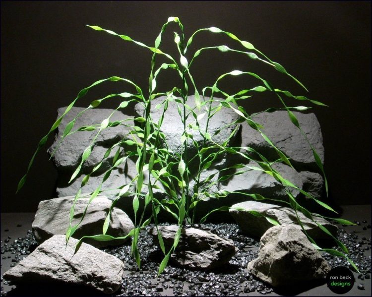 plastic aquarium plants: cork screw grass pap074 by ron beck designs