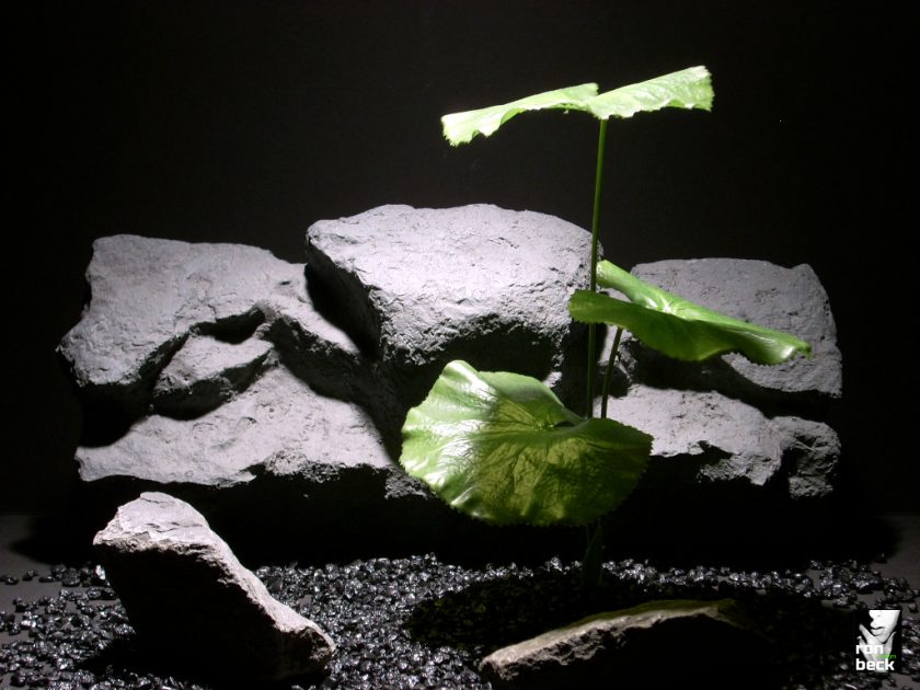 Silk Aquarium Plants Silk Reptile Plants Palm Leaves From Ron Beck