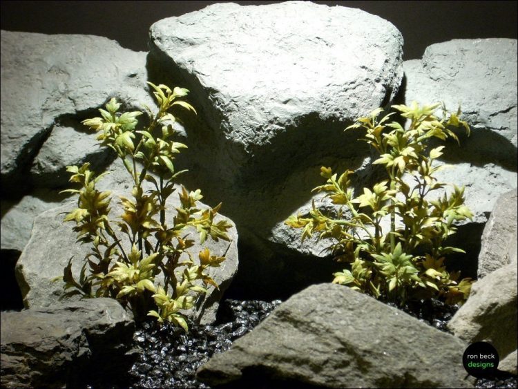 plastic aquarium plants mini ming arailia olive parp086 ron beck designs