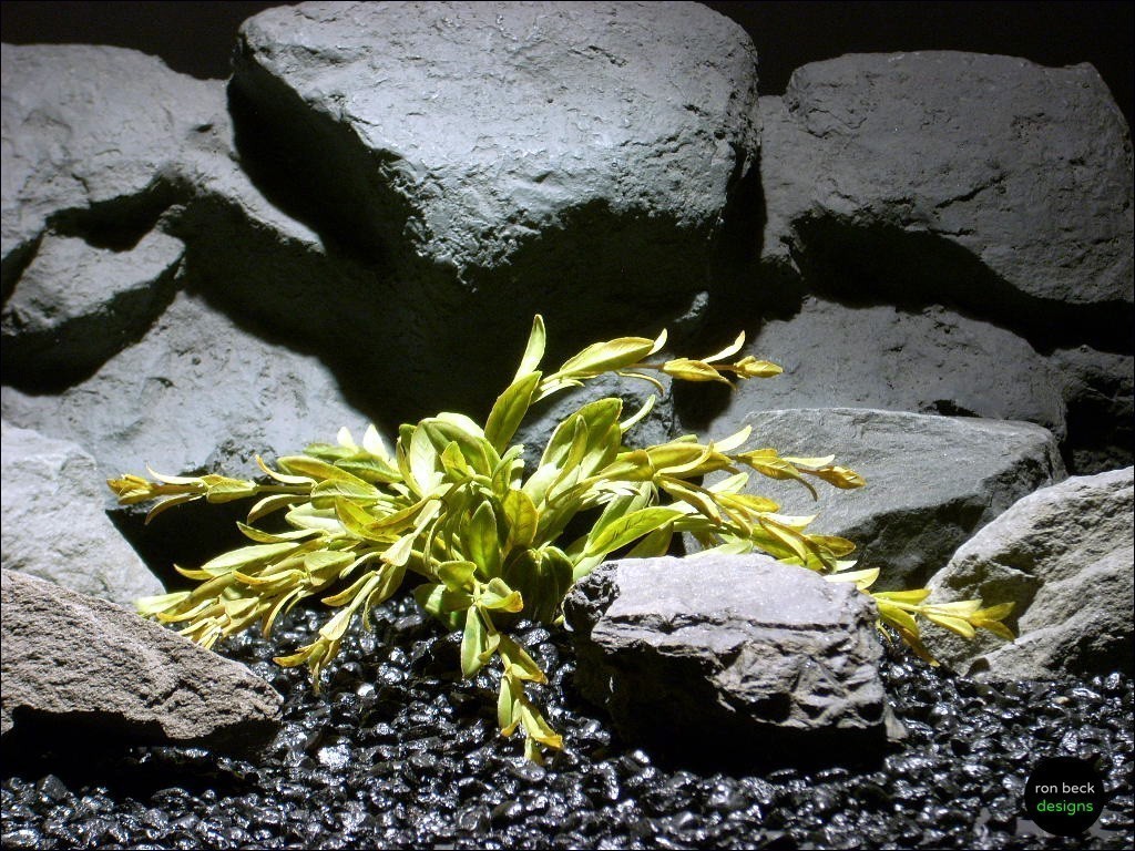 plastic aquarium plants: flame grass pap083 from ron beck designs