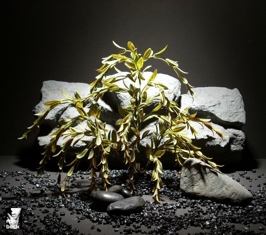 plastic aquarium plants tea dried look flm grass pap137 plstc. ron beck designs