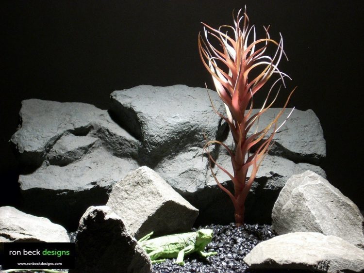 reptile habitat plants agave mellon red prp006 ron beck designs
