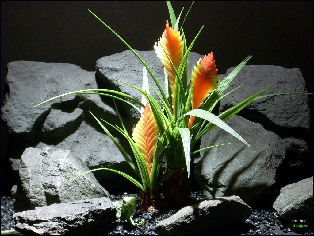 reptile or snake habitat plant: bromeliad prp061 by ron beck designs | ronbeckdesigns.com