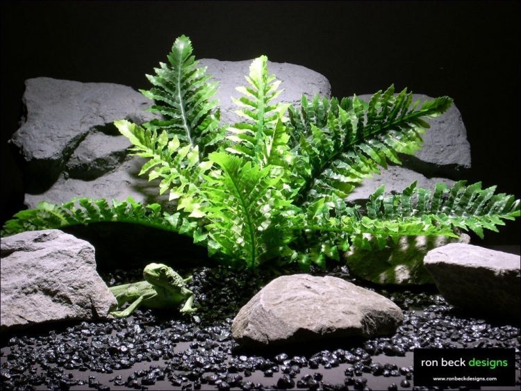 reptile habitat plants fern real touch srp019 silk latex  ron beck designs
