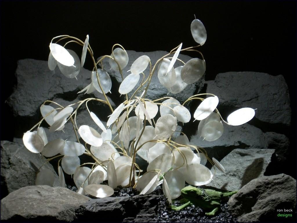plastic reptile habitat plants money tree white prp071 plstc. ron beck designs