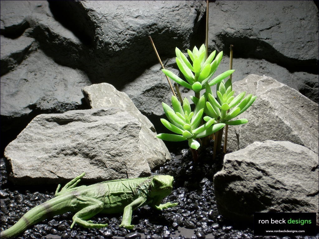 reptile habitat plants succulent bmb prp031 plstc. ron beck designs
