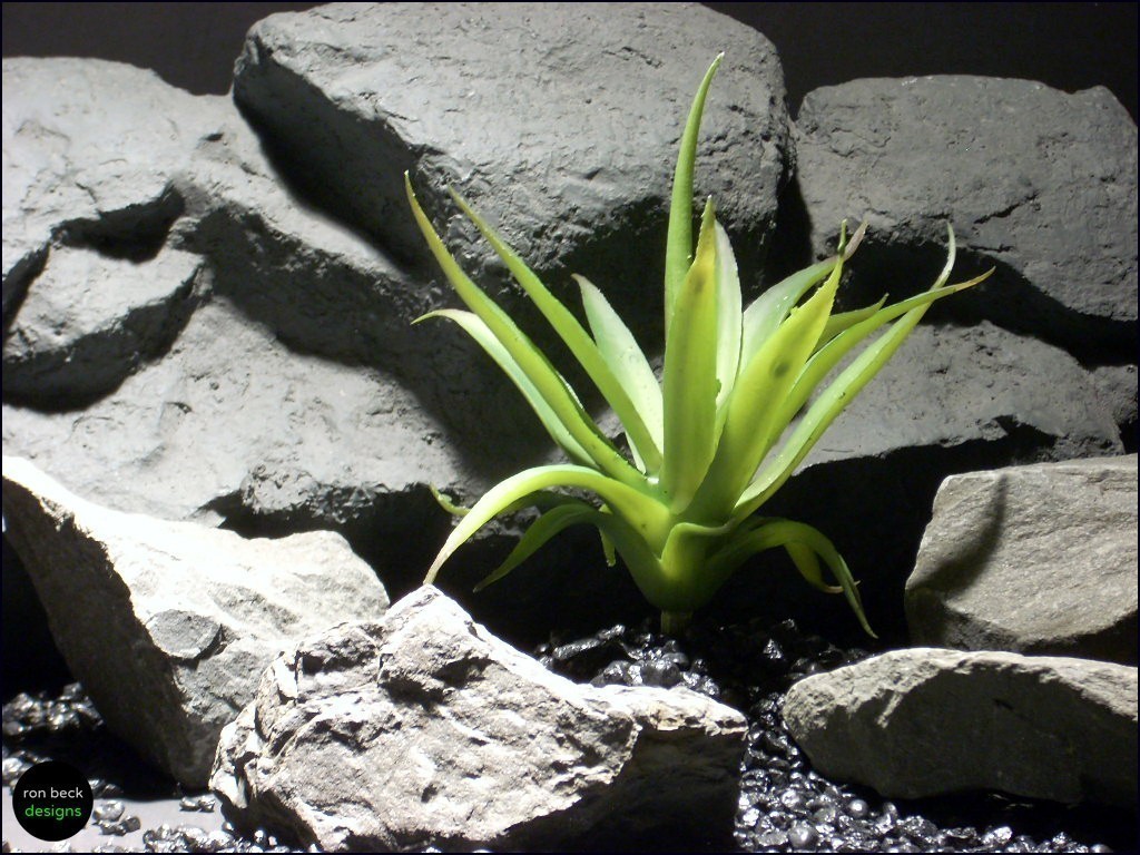 snake habitat or reptile plants: succulent prp053 plstc. latex ron beck designs