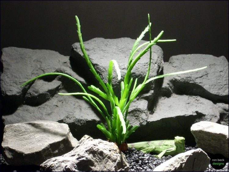 reptile habitat plants succulent prp055 latex rubber ron beck designs