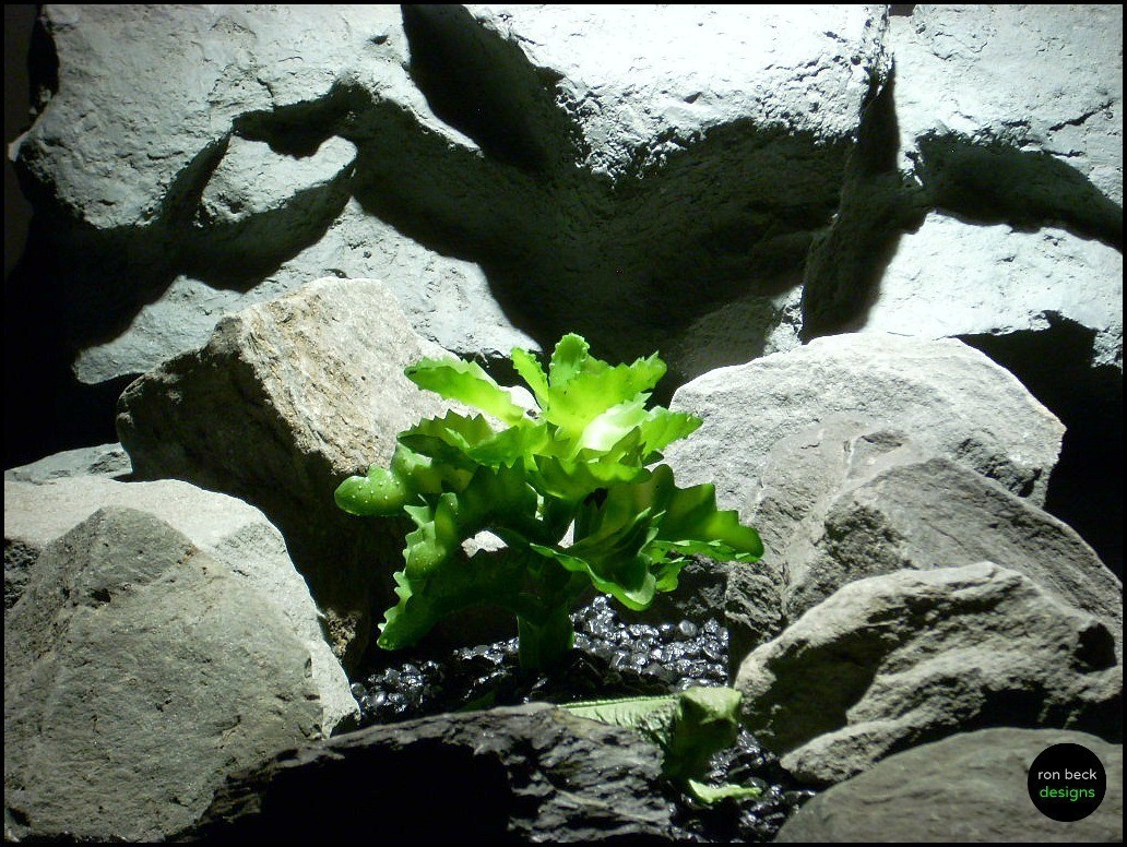 artificial reptile plant: succulent prp120 ron beck designs