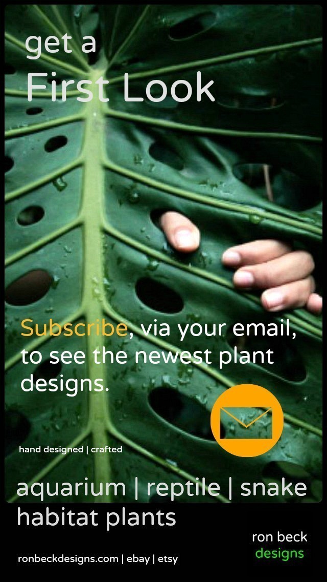 email subscription new plant designs ron beck designs