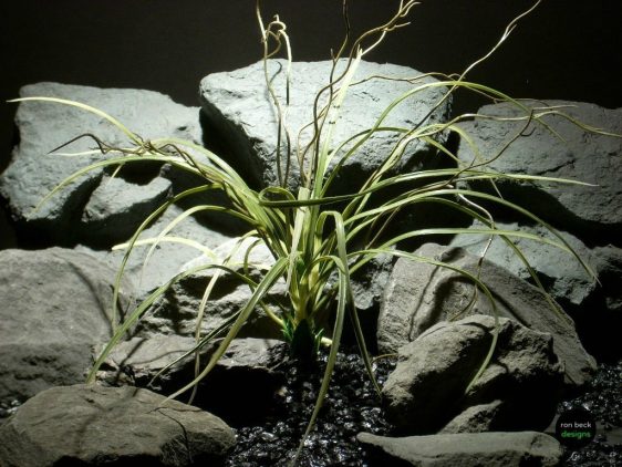 plastic aquarium plant mad grass pap095 ron beck designs