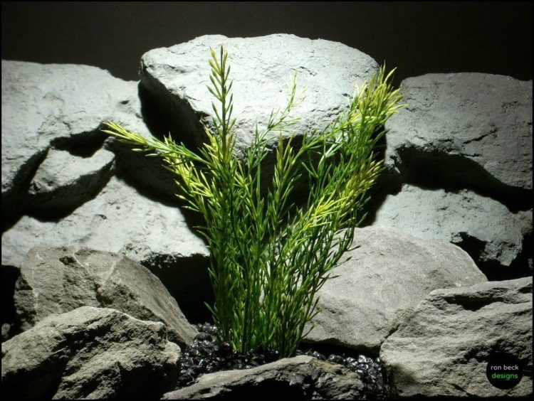 plastic aquarium plant green wheat grass pap099 by ron beck designs
