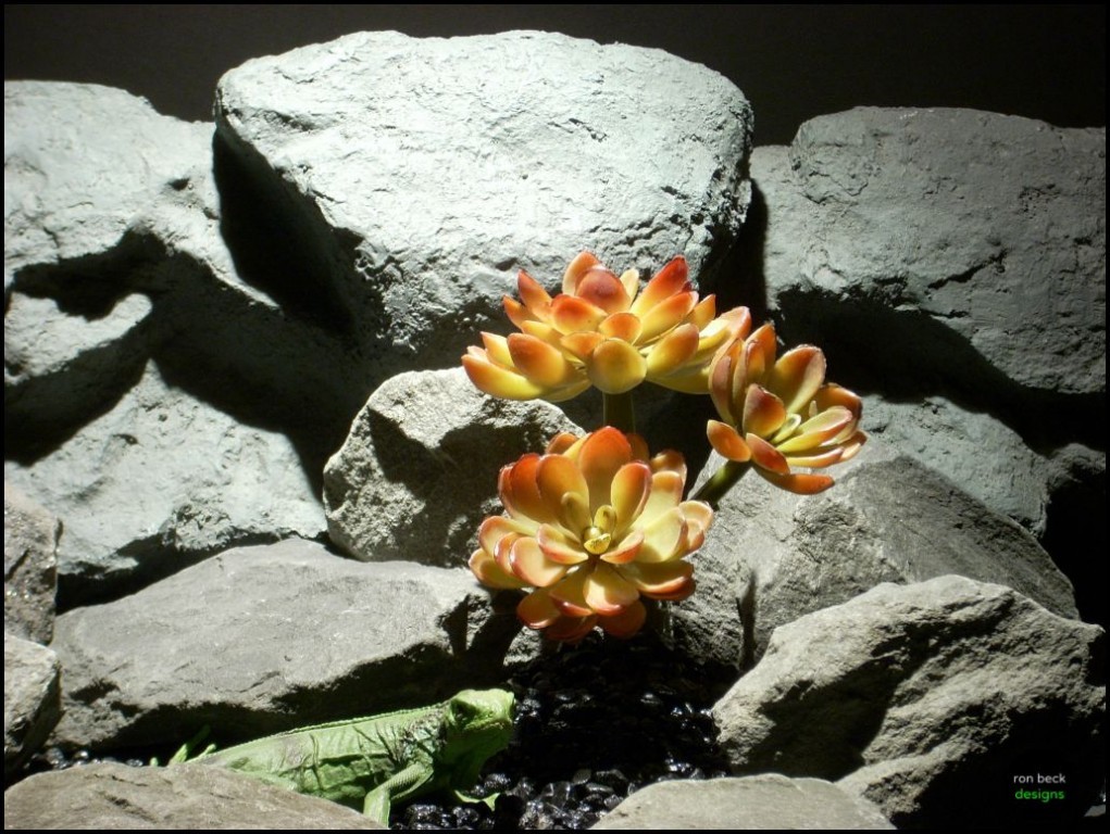 plastic reptile decor succulent prs106 by ron beck designs