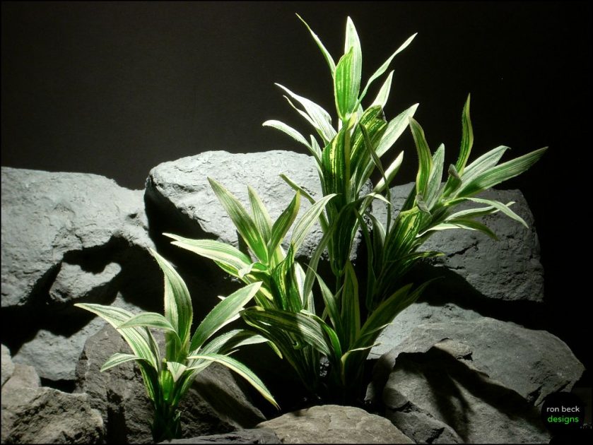 Silk Aquarium Plants Or Silk Reptile Plants Variegated Leaves.