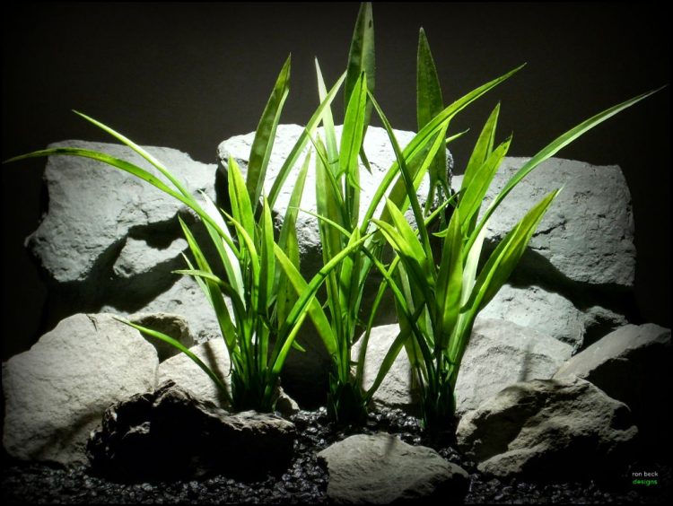 plastic aquarium decor plant arrowhead grass plot sap107 by ron beck designs