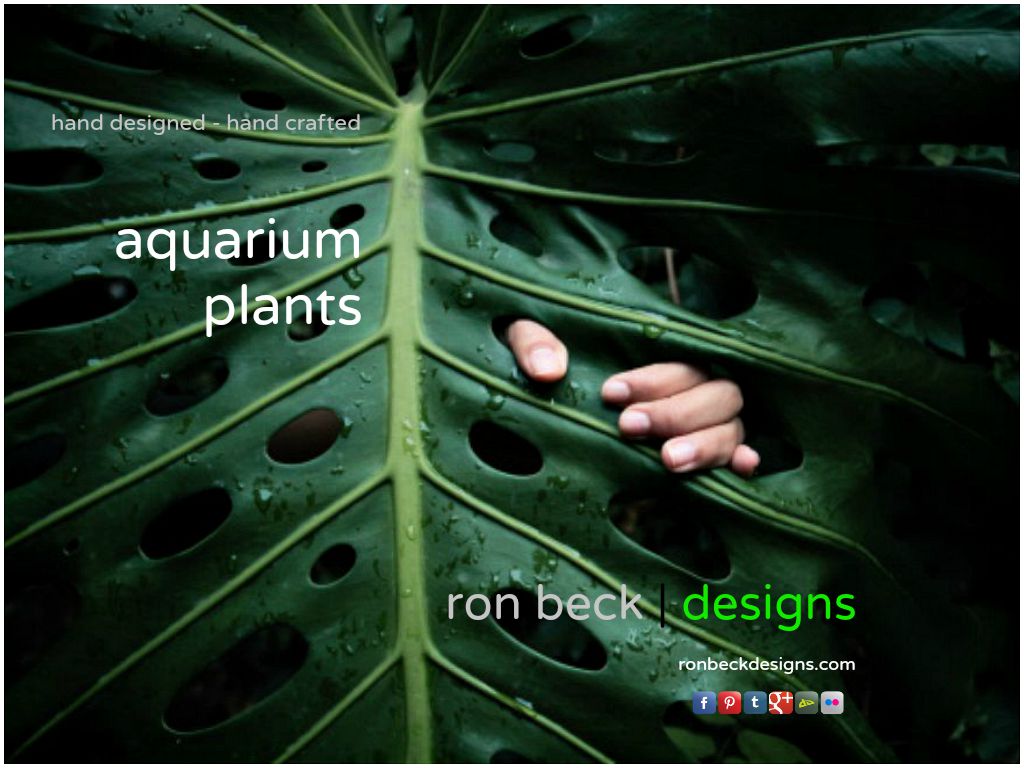aquarium plants by ron beck designs | ronbeckdesigns.com