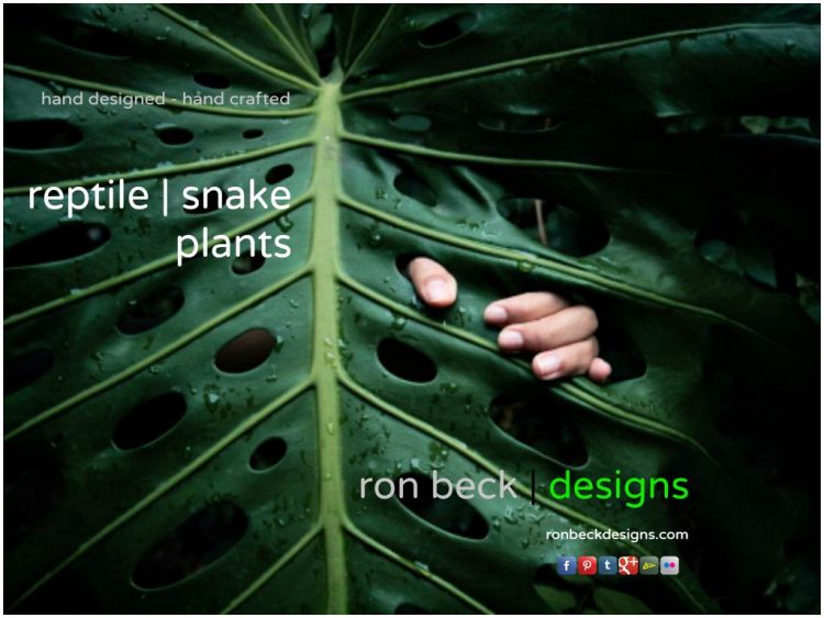 reptile plants snake habitat plants by ron beck designs | ronbeckdesigns.com