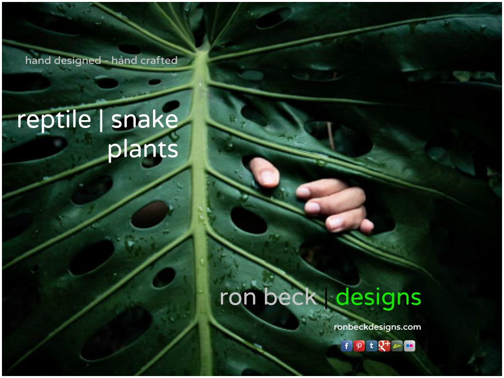 reptile decor plants snake habitat plants by ron beck designs | ronbeckdesigns.com