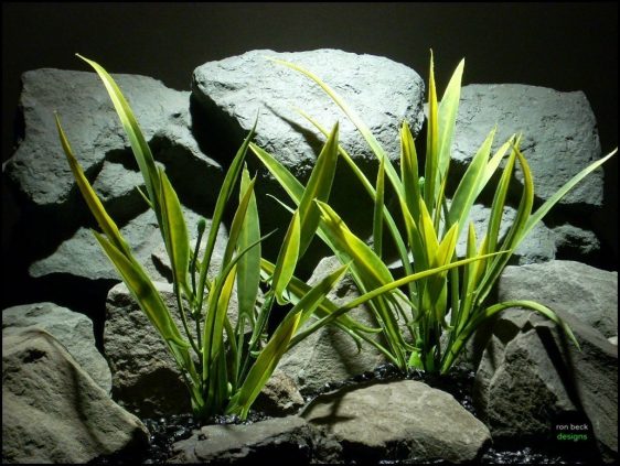 plastic aquarium plant arrowhead grass set 2 pap117 by ron beck designs