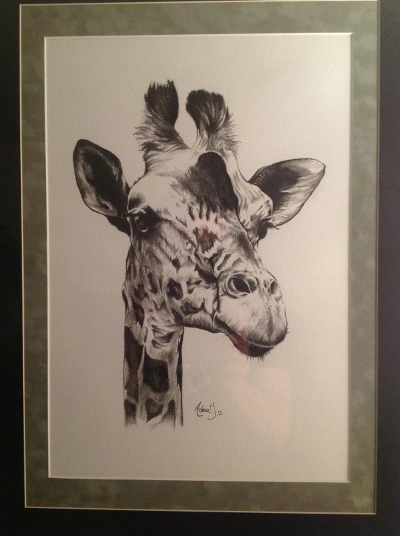 giraffe by adam jahnke