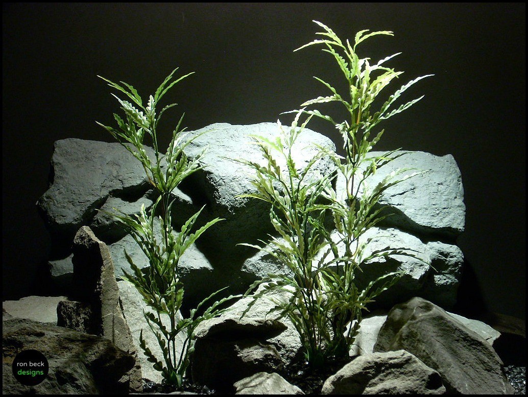 artificial aquarium plants ming aralia set 2 pap122 ron beck designs