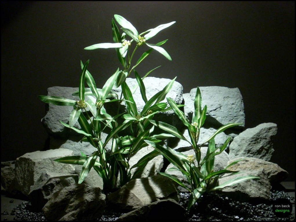 Silk Aquarium Plants Dracena Greens