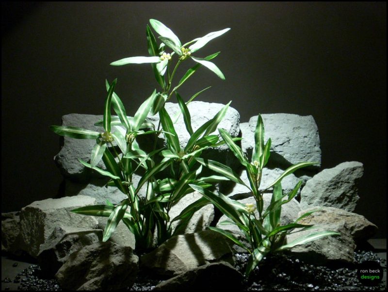 Silk Aquarium Plant Purple Heart From Ron Beck Designs.