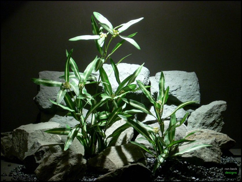 Silk Aquarium Plant Purple Heart From Ron Beck Designs.