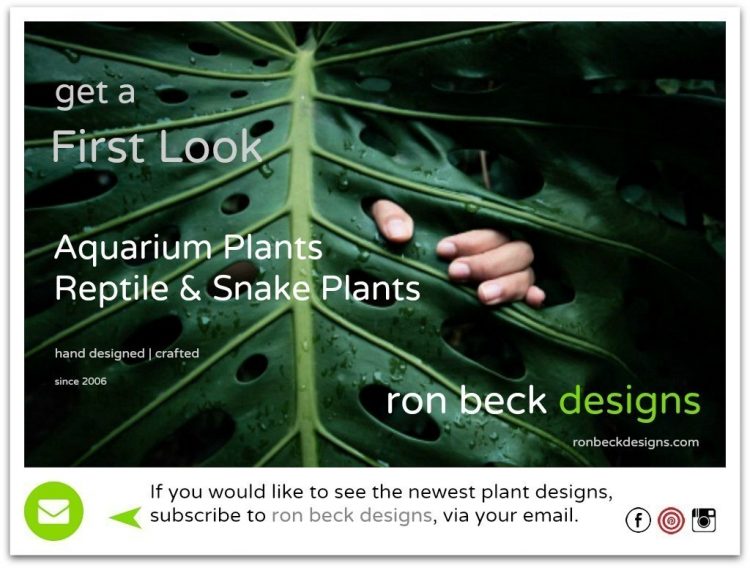 first look at ron beck designs subscribe 1024 768