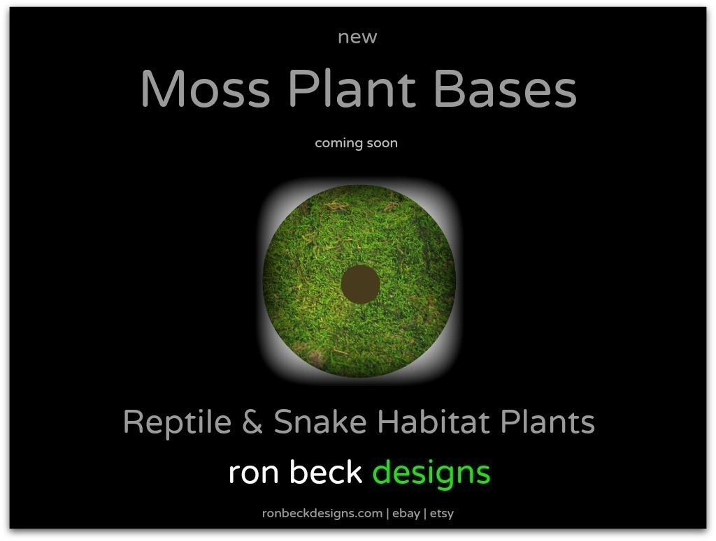 moss plant bases from ron beck designs | ronbeckdesigns.com