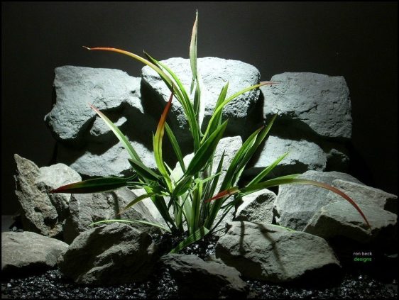 plastic aquarium plant arrowhead philodendron red tip pap126 from ron beck designs