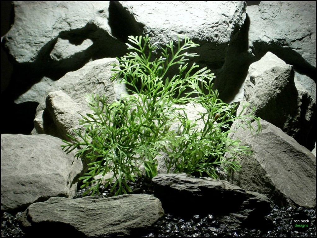 plastic aquarium plants dill bush pap129 from ron beck designs