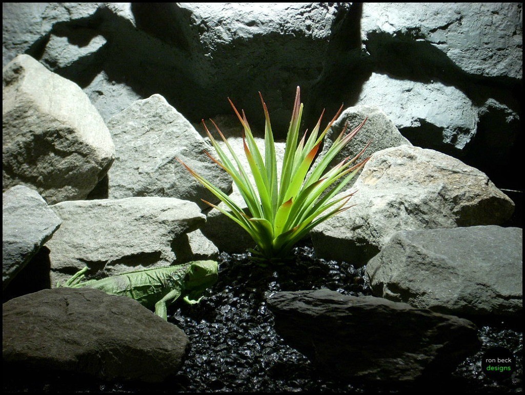 reptile snake habitat plants yucca succulent psrp132 from ron beck designs