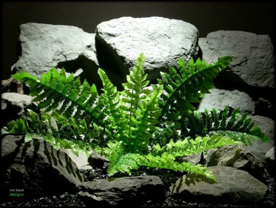 silk reptile or snake habitat plant fern real touch srp128