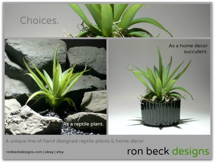choices reptile plants and home decor from ron beck designs 1024 775
